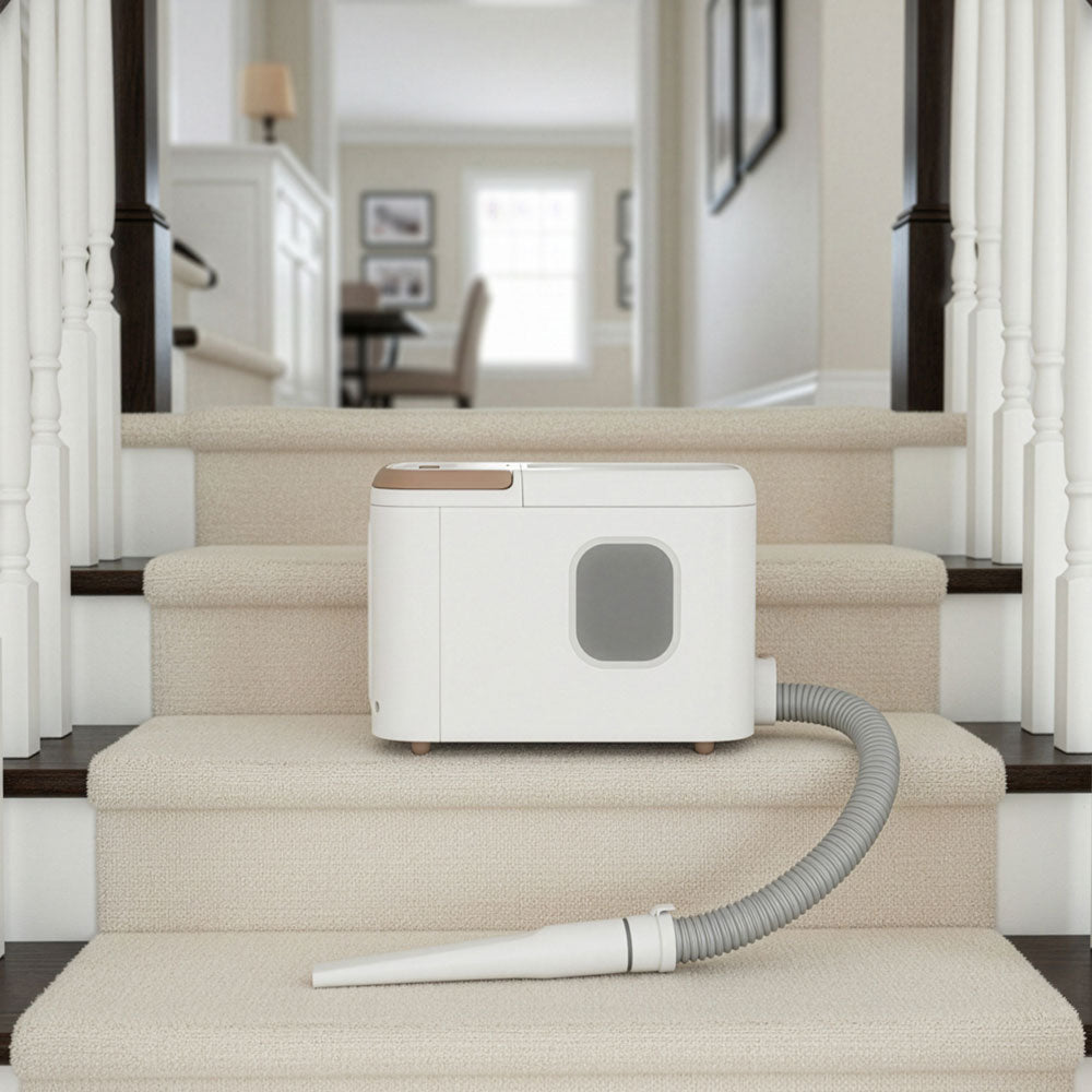 Homebot Nozzie 4-in-1 6000Pa Self-Emptying Robot Vacuum & Mop | HB-RV-NOZ-IE