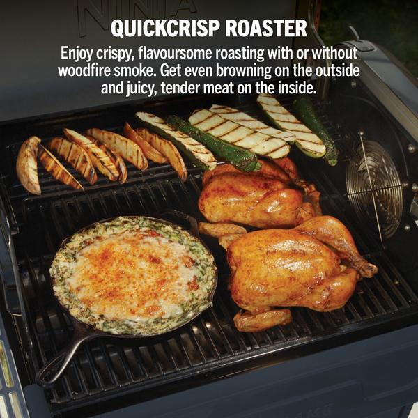 Ninja FlexFlame Outdoor Cooking System 5-in-1 Grill & Smoker | PG301UKBL