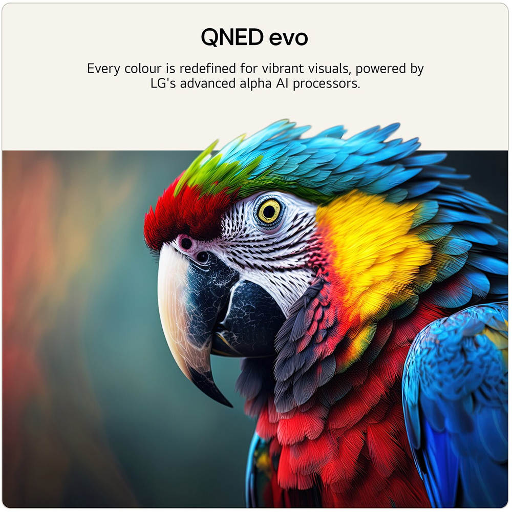 LG QNED86 65 Inch Mini LED Evo AI 4K Ultra HD Smart TV (2026) - 65QNED86B6B.AEI | Lally's Electrical Dundalk - image 5