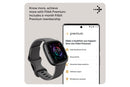 Fitbit Sense 2 - Advanced Health Smartwatch with cEDA Stress Sensor & GPS - Shadow Grey/Graphite | 79-FB521BKGB
