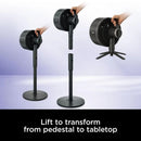 Shark FlexBreeze Portable Fan | FA220UK