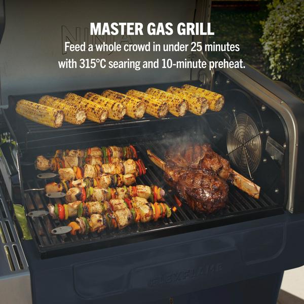 Ninja FlexFlame Outdoor Cooking System 5-in-1 Grill & Smoker | PG301UKBL