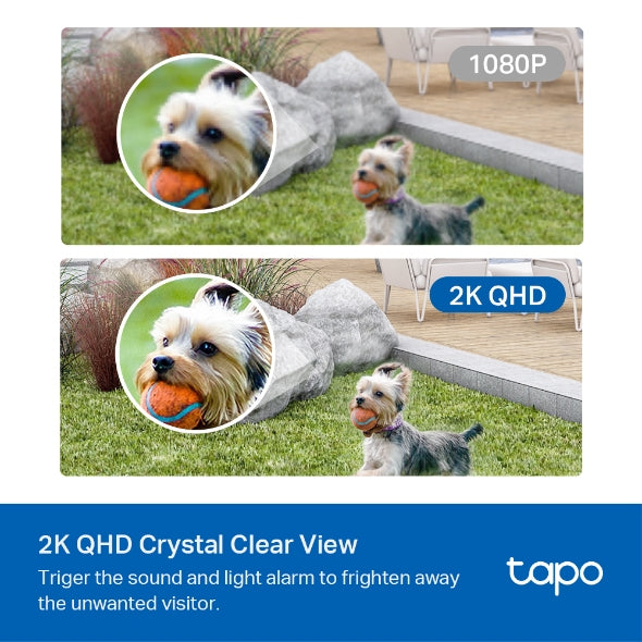 TP-Link Tapo C420S2 Smart Wire-Free Security Camera System (2-Camera Kit)