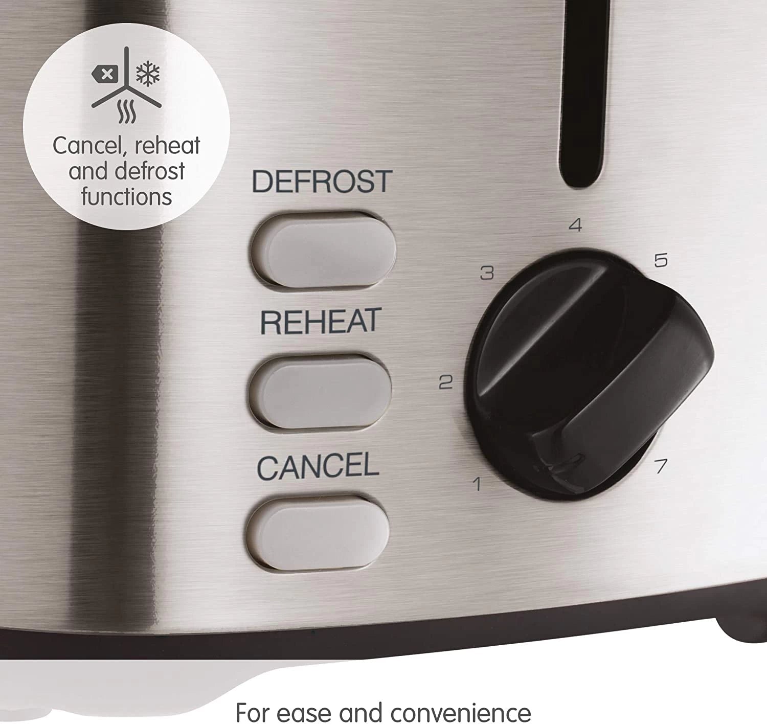 Morphy Richards Equip 2 Slice Stainless Toaster | 222067