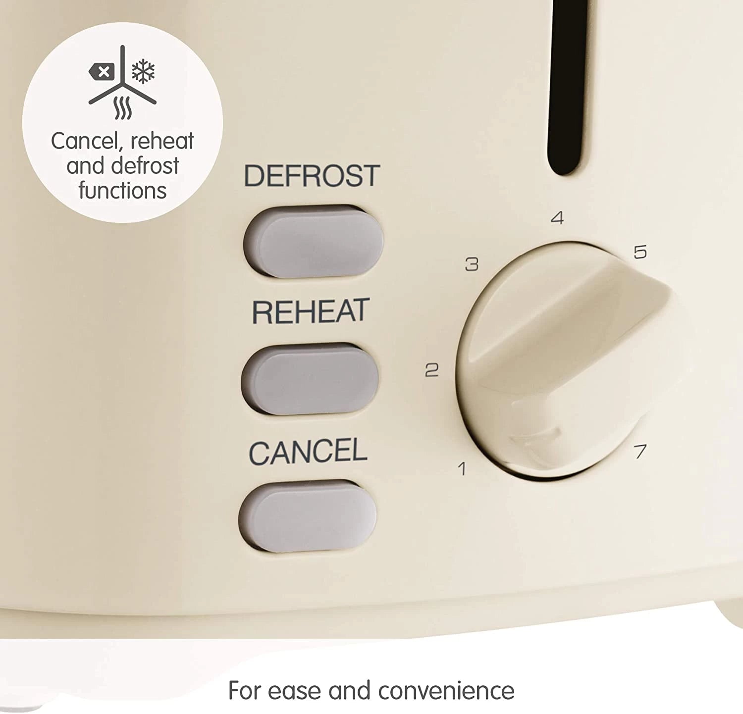 Morphy Richards Equip 2 Slice Cream Toaster | 222065
